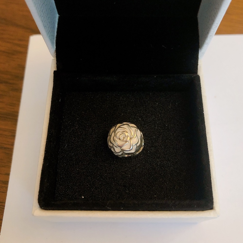 Pandora clip charm